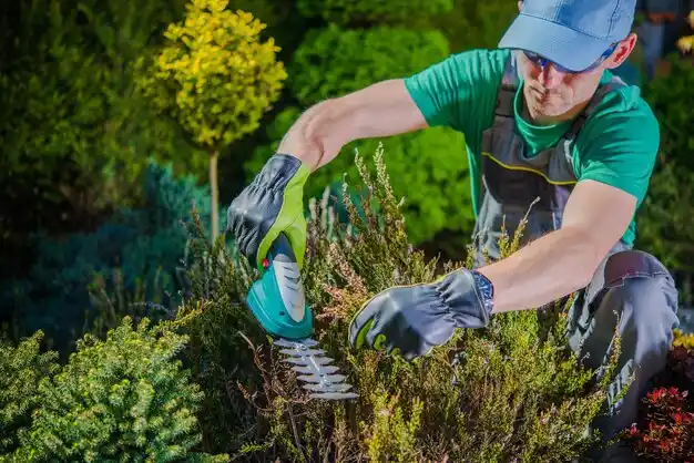 landscaping services South Eliot